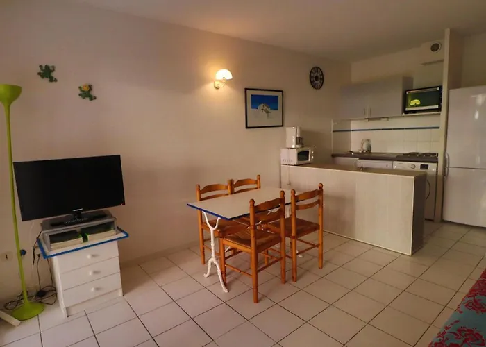Appartement Spacieux Rez-De-Jardin A Sete Pour 6 Personnes Avec Terrasse - Fr-1-472A-171